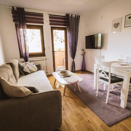 Apartmani F&A Ζλάτιμπορ Εξωτερικό φωτογραφία